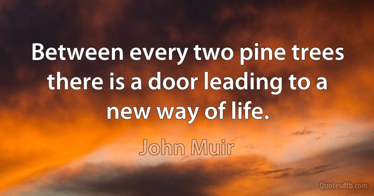 Between every two pine trees there is a door leading to a new way of life. (John Muir)