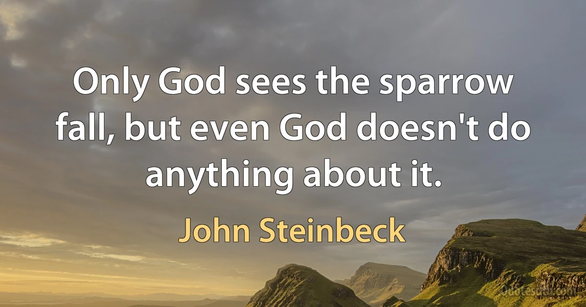 Only God sees the sparrow fall, but even God doesn't do anything about it. (John Steinbeck)