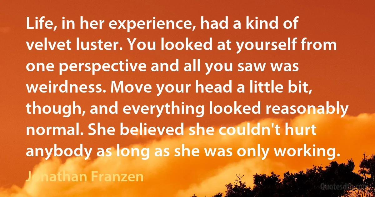 Life, in her experience, had a kind of velvet luster. You looked at yourself from one perspective and all you saw was weirdness. Move your head a little bit, though, and everything looked reasonably normal. She believed she couldn't hurt anybody as long as she was only working. (Jonathan Franzen)