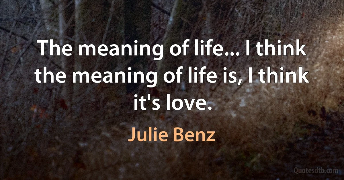 The meaning of life... I think the meaning of life is, I think it's love. (Julie Benz)