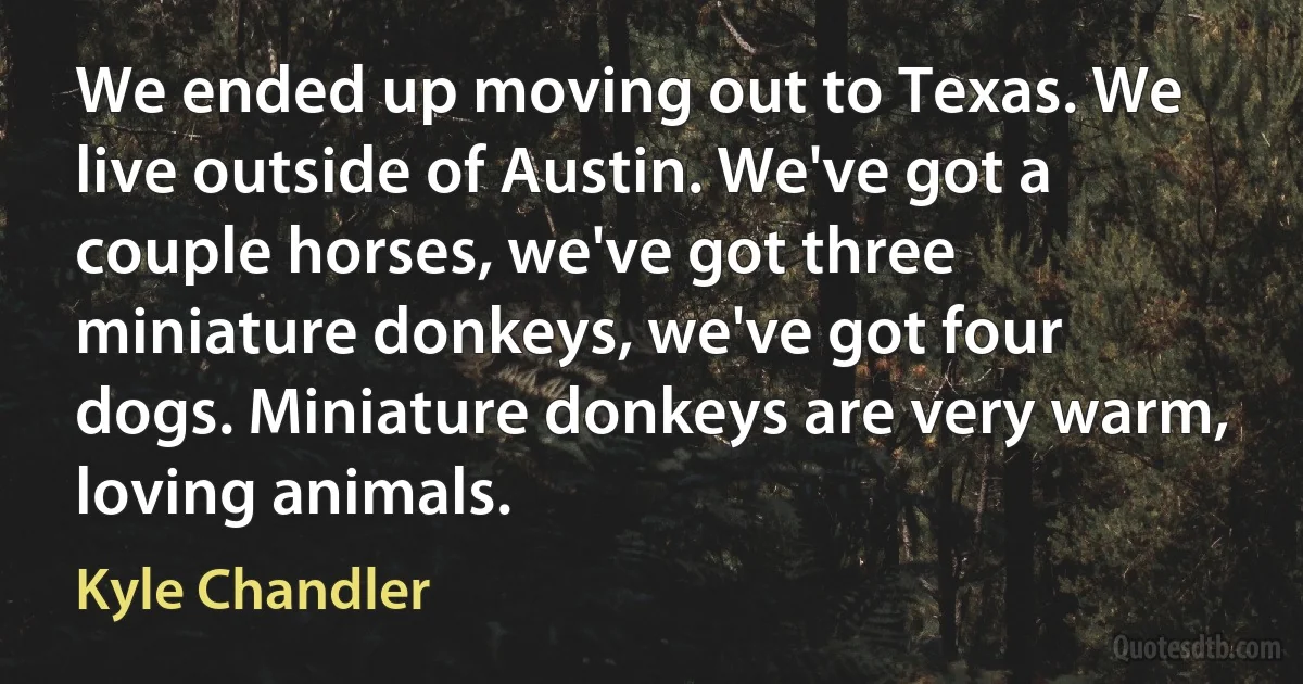 We ended up moving out to Texas. We live outside of Austin. We've got a couple horses, we've got three miniature donkeys, we've got four dogs. Miniature donkeys are very warm, loving animals. (Kyle Chandler)