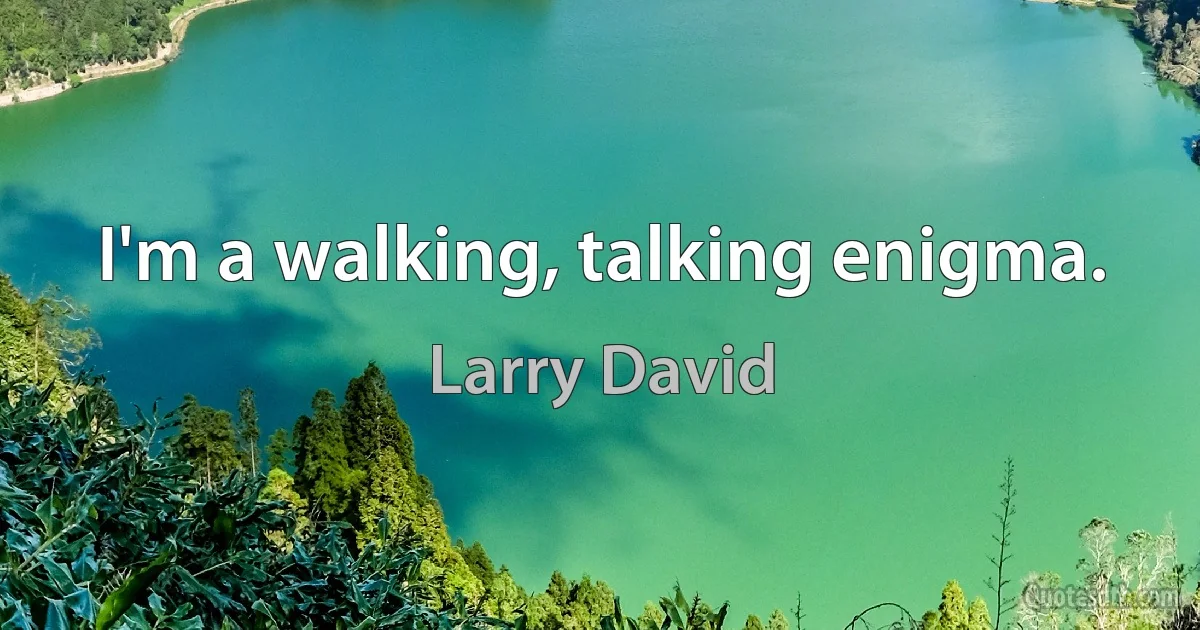 I'm a walking, talking enigma. (Larry David)