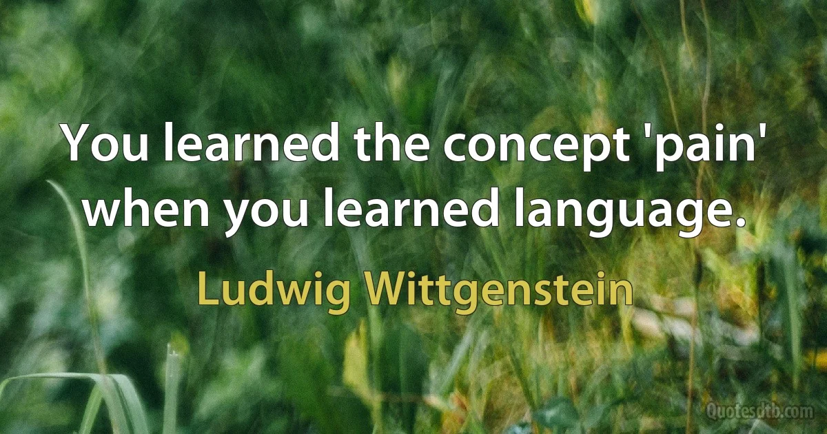 You learned the concept 'pain' when you learned language. (Ludwig Wittgenstein)