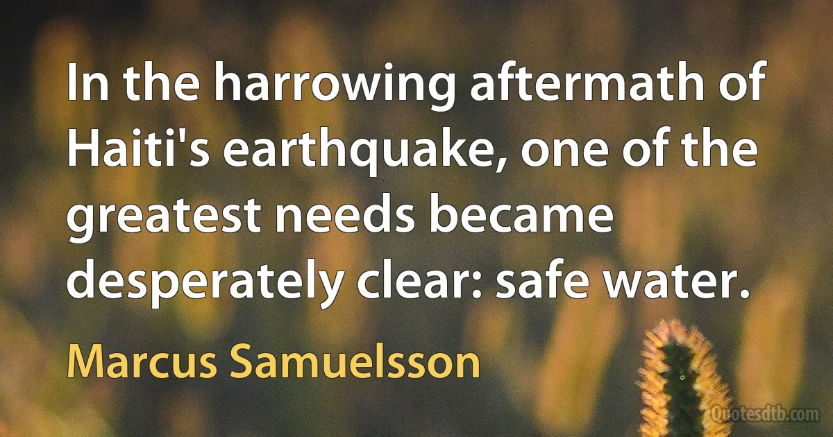 In the harrowing aftermath of Haiti's earthquake, one of the greatest needs became desperately clear: safe water. (Marcus Samuelsson)