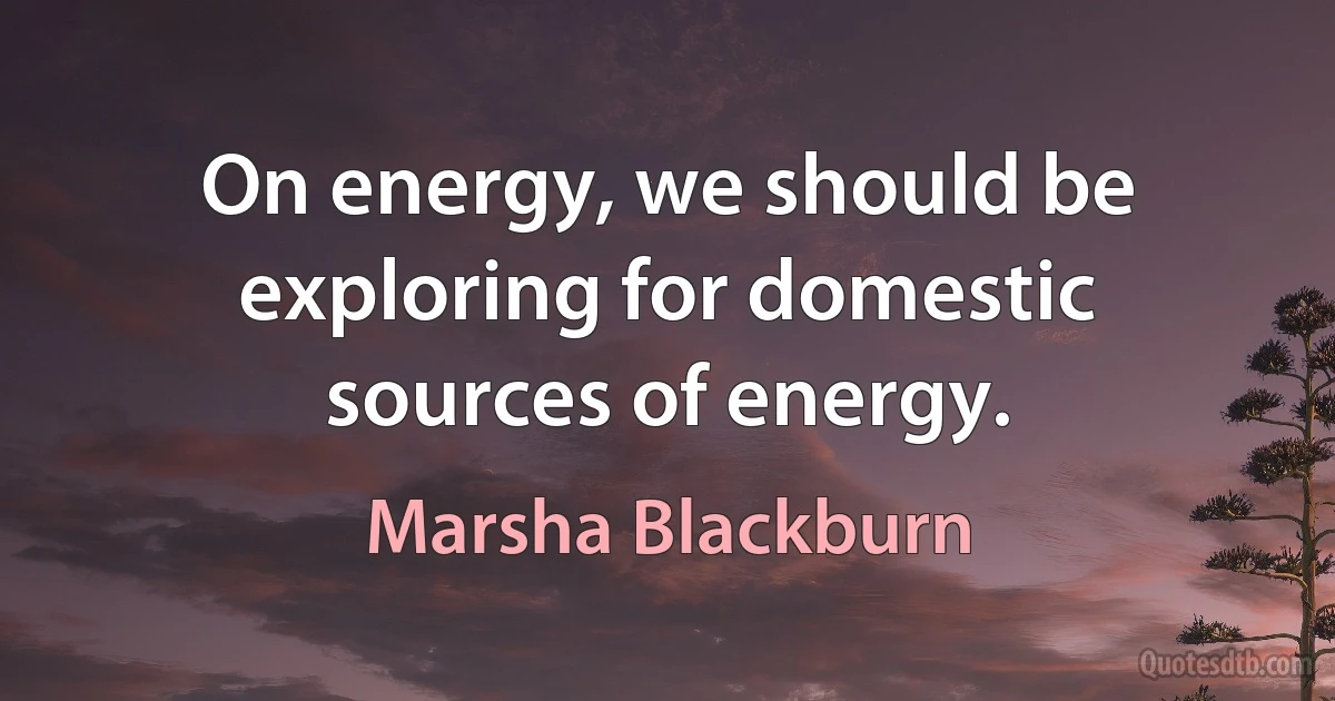 On energy, we should be exploring for domestic sources of energy. (Marsha Blackburn)