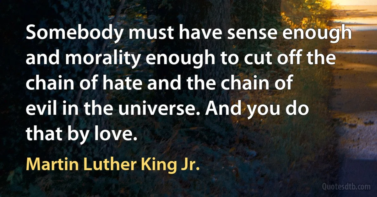 Somebody must have sense enough and morality enough to cut off the chain of hate and the chain of evil in the universe. And you do that by love. (Martin Luther King Jr.)