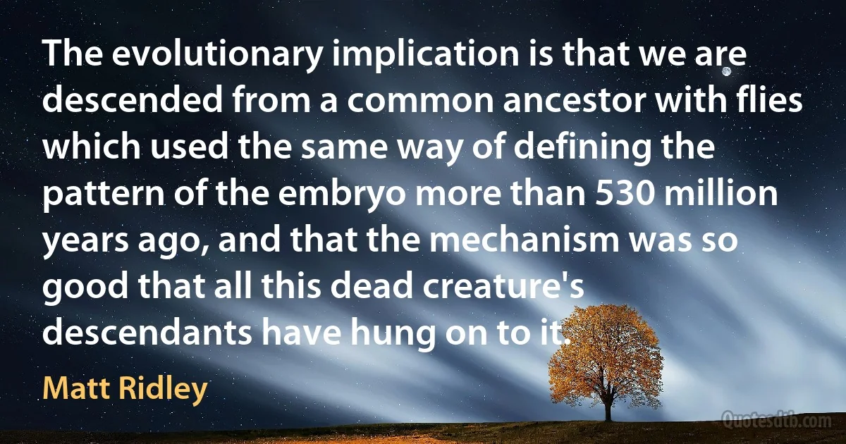 The evolutionary implication is that we are descended from a common ancestor with flies which used the same way of defining the pattern of the embryo more than 530 million years ago, and that the mechanism was so good that all this dead creature's descendants have hung on to it. (Matt Ridley)