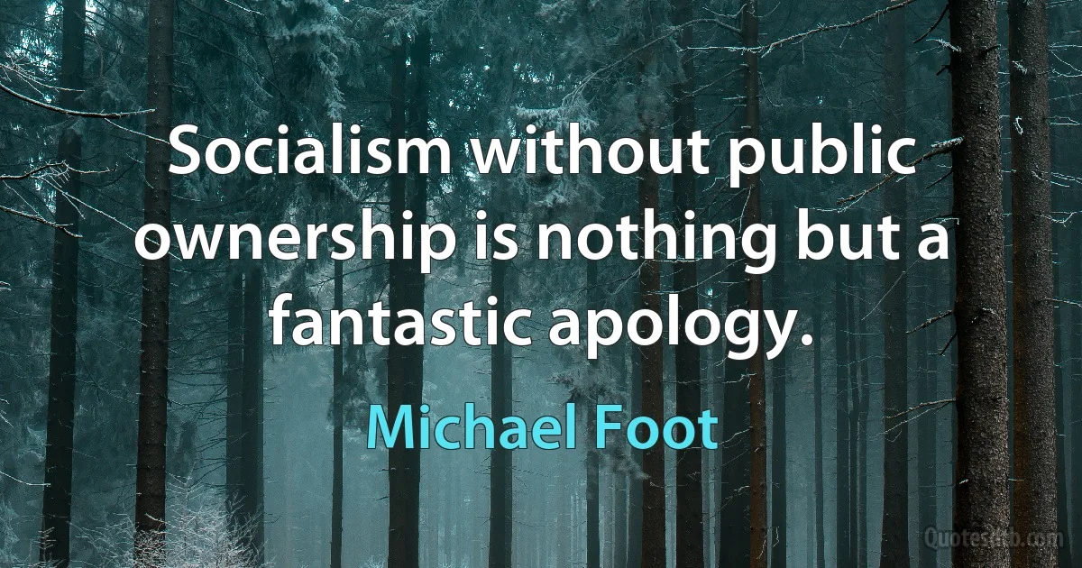 Socialism without public ownership is nothing but a fantastic apology. (Michael Foot)