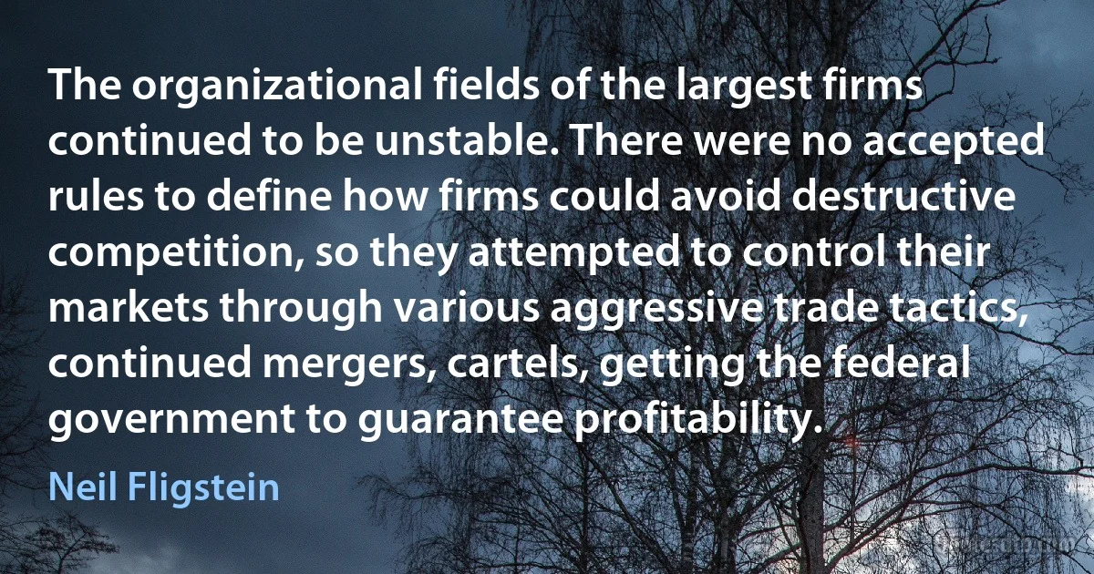 The organizational fields of the largest firms continued to be unstable. There were no accepted rules to define how firms could avoid destructive competition, so they attempted to control their markets through various aggressive trade tactics, continued mergers, cartels, getting the federal government to guarantee profitability. (Neil Fligstein)