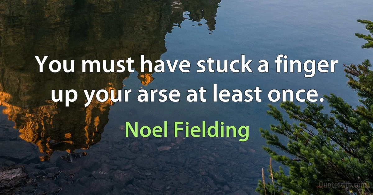 You must have stuck a finger up your arse at least once. (Noel Fielding)