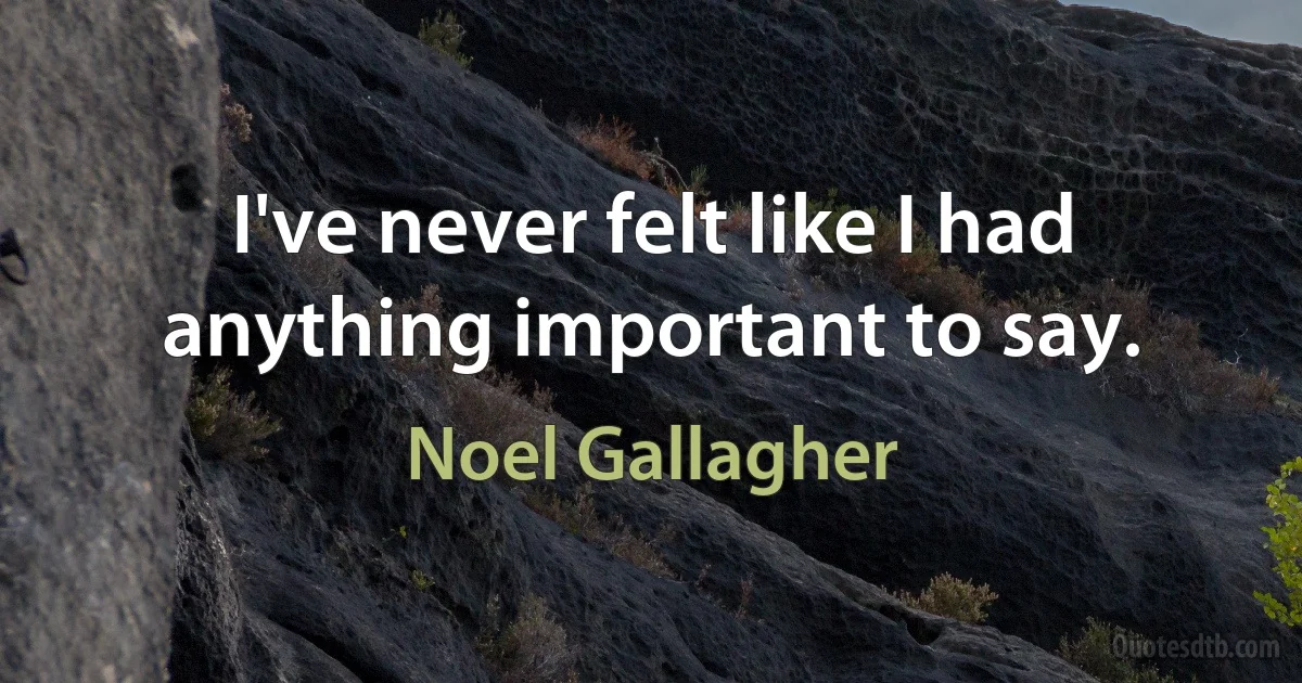 I've never felt like I had anything important to say. (Noel Gallagher)