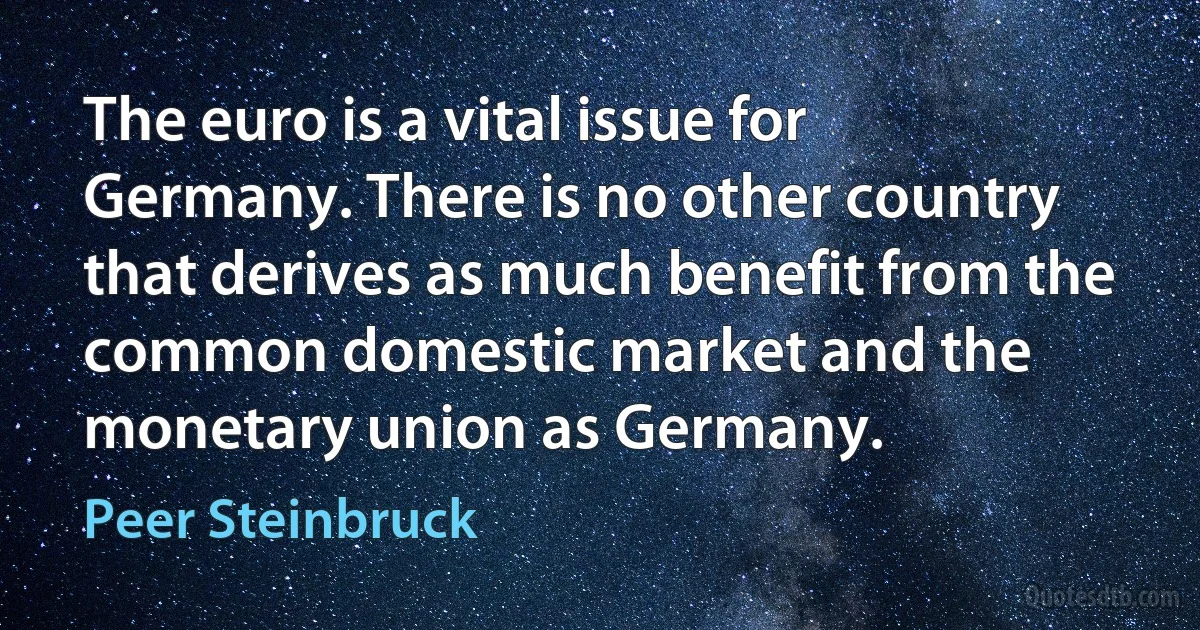 The euro is a vital issue for Germany. There is no other country that derives as much benefit from the common domestic market and the monetary union as Germany. (Peer Steinbruck)