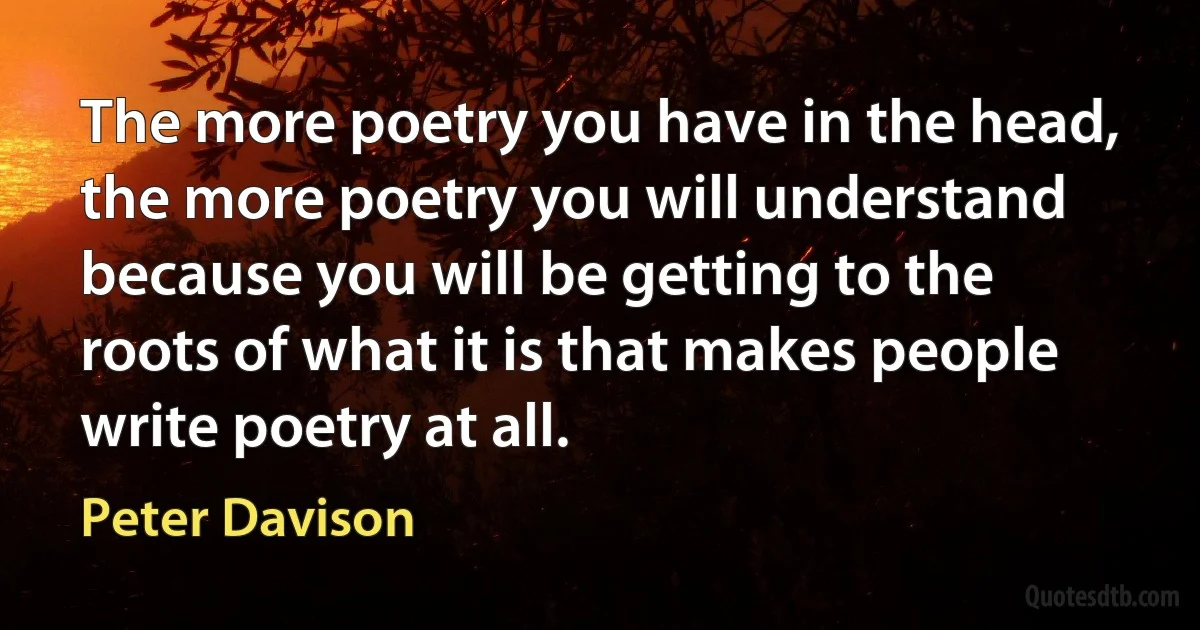 The more poetry you have in the head, the more poetry you will understand because you will be getting to the roots of what it is that makes people write poetry at all. (Peter Davison)