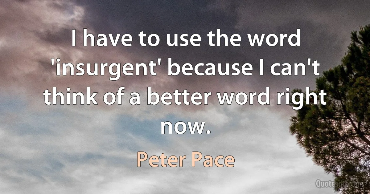 I have to use the word 'insurgent' because I can't think of a better word right now. (Peter Pace)