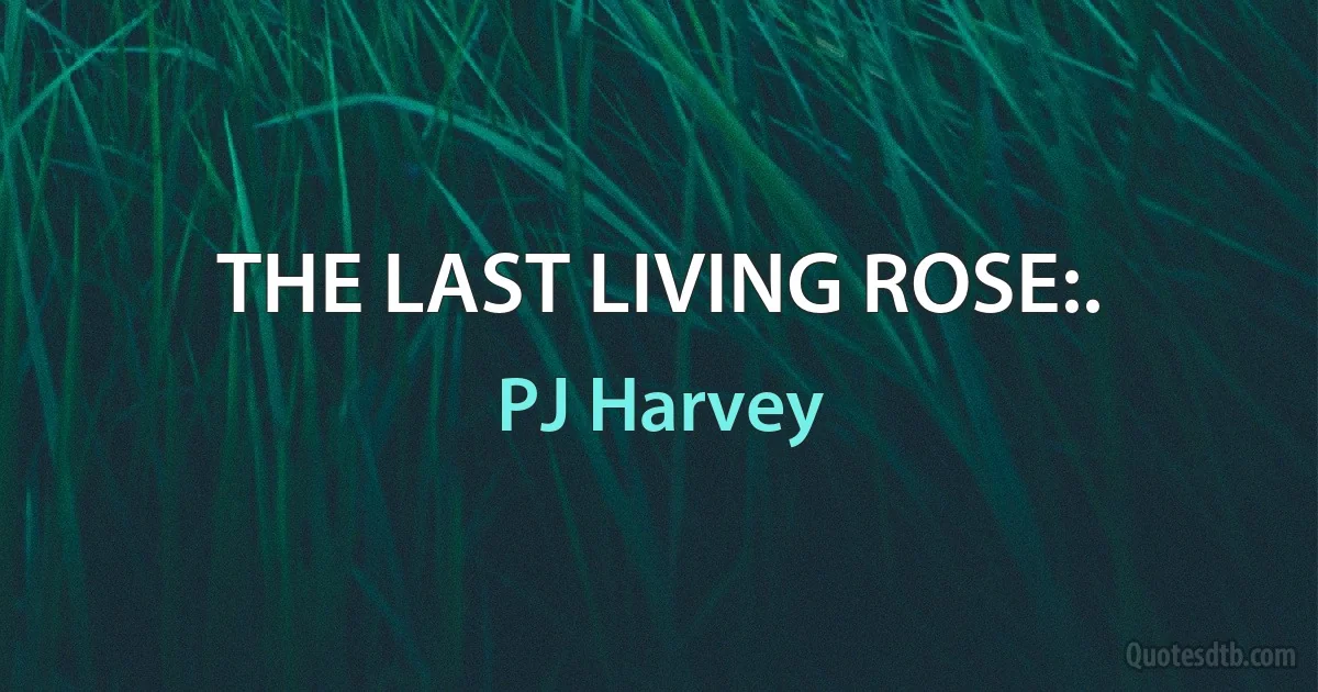 THE LAST LIVING ROSE:. (PJ Harvey)