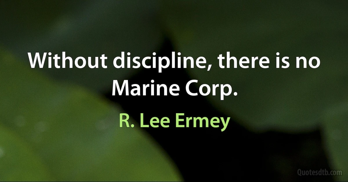 Without discipline, there is no Marine Corp. (R. Lee Ermey)