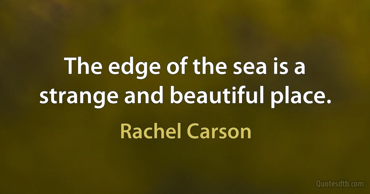 The edge of the sea is a strange and beautiful place. (Rachel Carson)