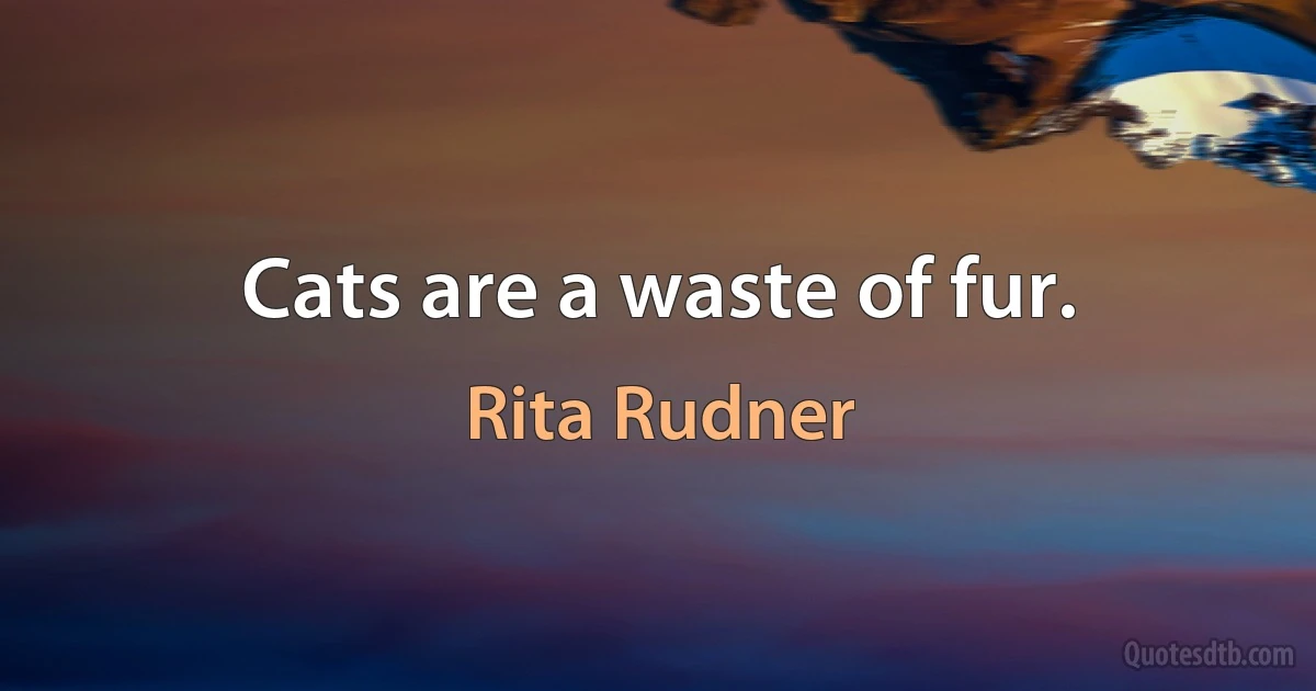 Cats are a waste of fur. (Rita Rudner)