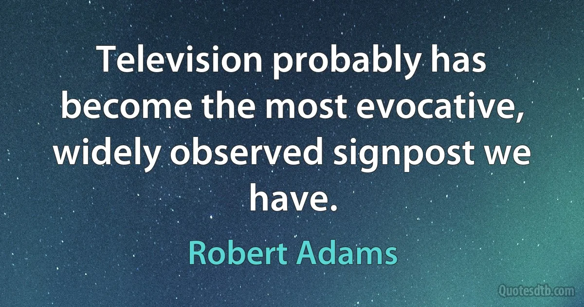 Television probably has become the most evocative, widely observed signpost we have. (Robert Adams)