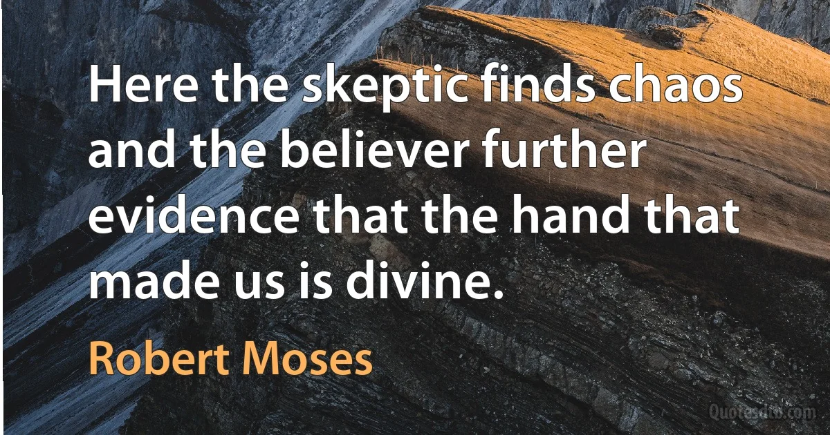 Here the skeptic finds chaos and the believer further evidence that the hand that made us is divine. (Robert Moses)