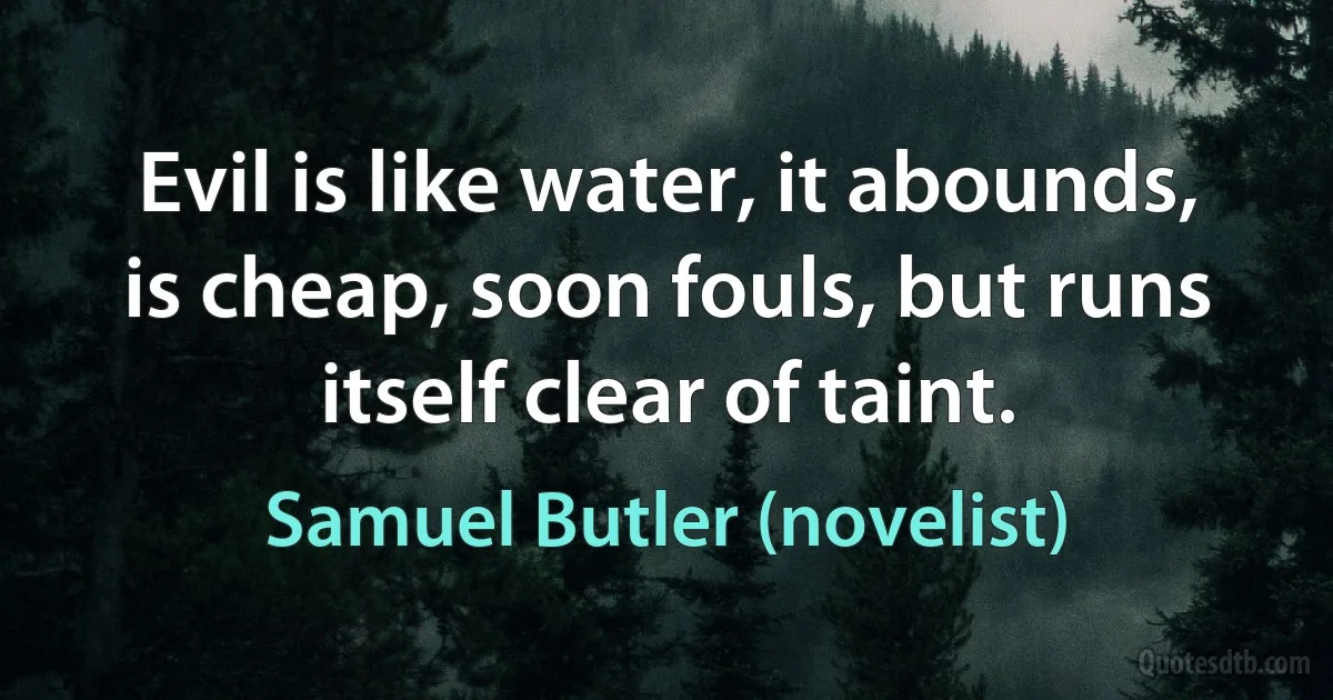 Evil is like water, it abounds, is cheap, soon fouls, but runs itself clear of taint. (Samuel Butler (novelist))