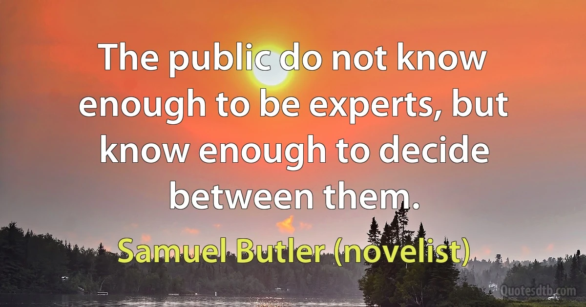 The public do not know enough to be experts, but know enough to decide between them. (Samuel Butler (novelist))