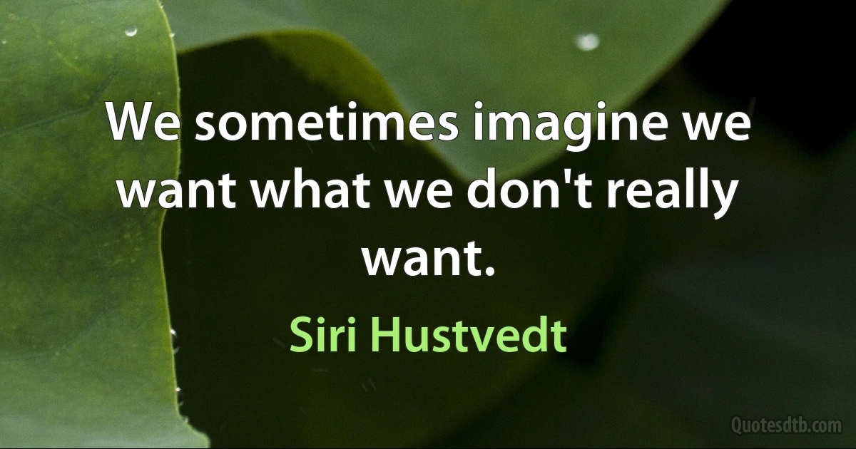 We sometimes imagine we want what we don't really want. (Siri Hustvedt)