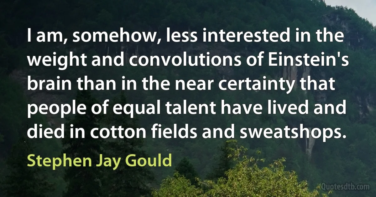 I am, somehow, less interested in the weight and convolutions of Einstein's brain than in the near certainty that people of equal talent have lived and died in cotton fields and sweatshops. (Stephen Jay Gould)