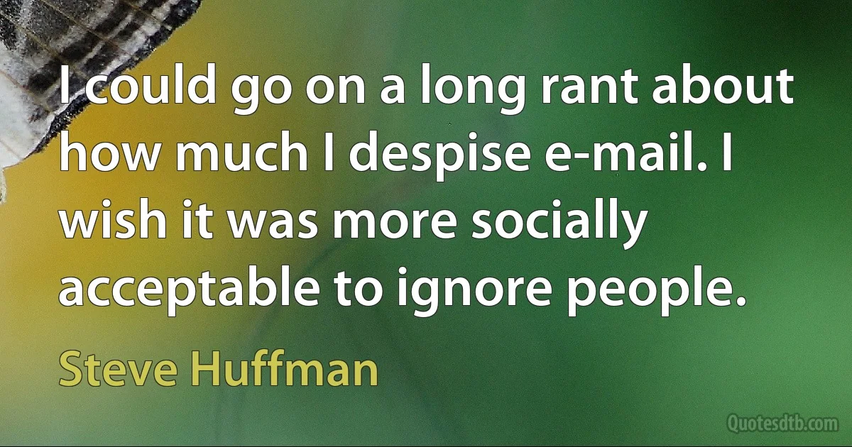 I could go on a long rant about how much I despise e-mail. I wish it was more socially acceptable to ignore people. (Steve Huffman)