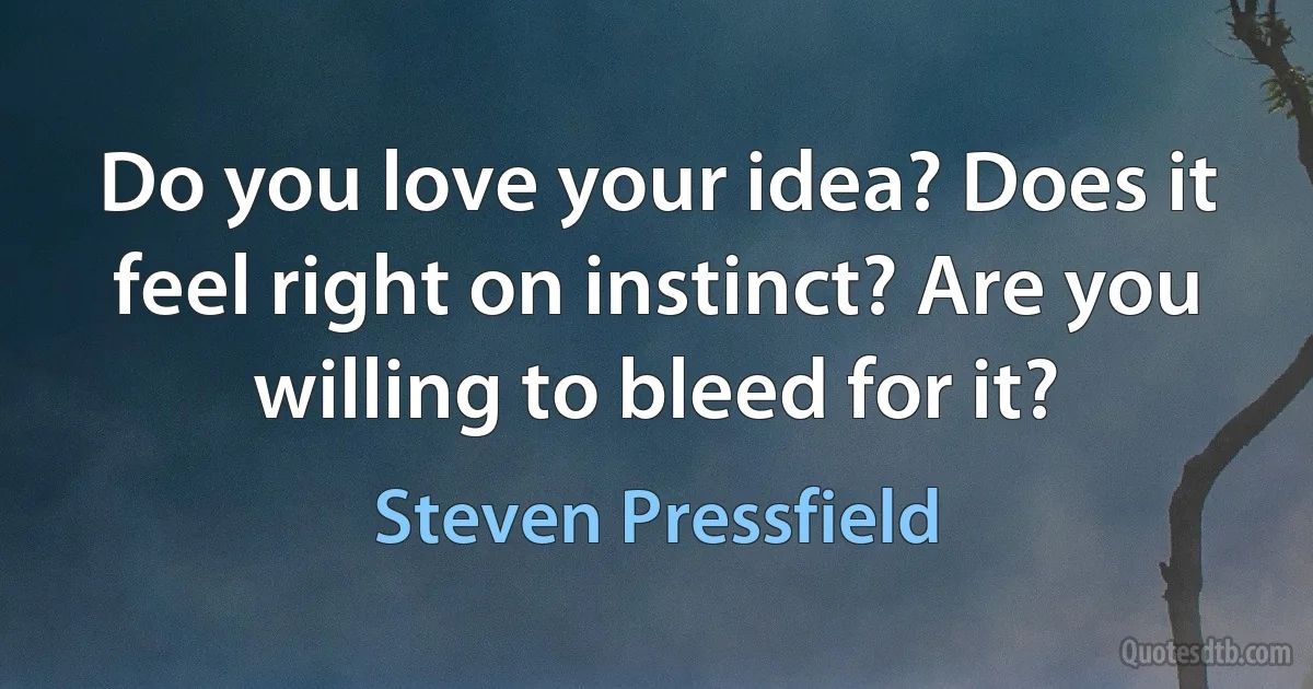 Do you love your idea? Does it feel right on instinct? Are you willing to bleed for it? (Steven Pressfield)