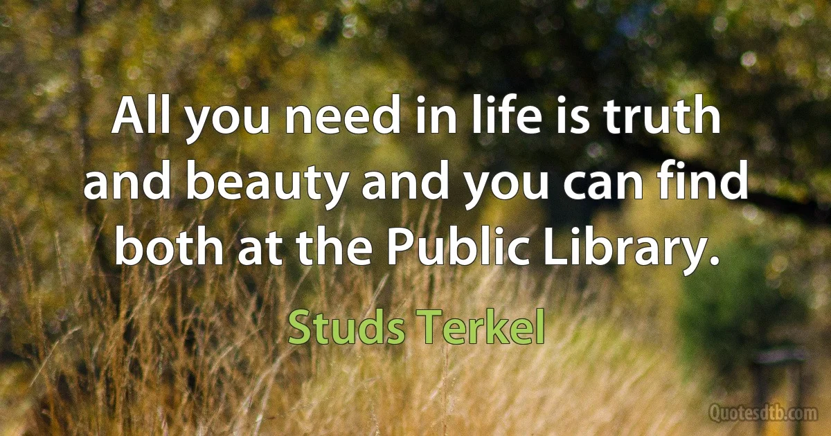 All you need in life is truth and beauty and you can find both at the Public Library. (Studs Terkel)