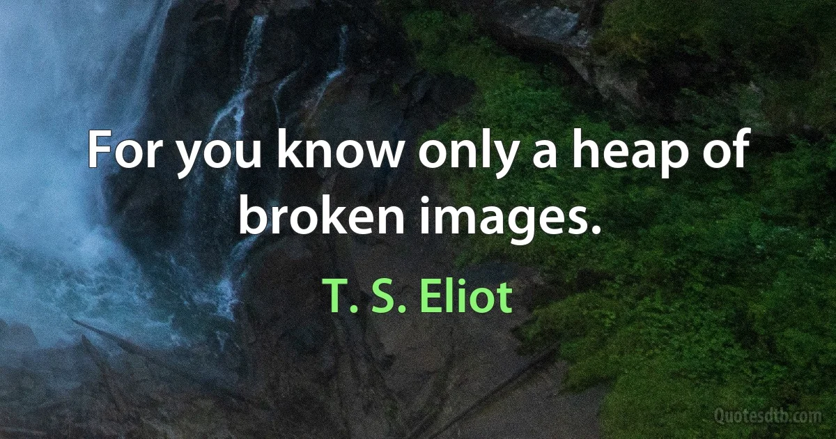 For you know only a heap of broken images. (T. S. Eliot)