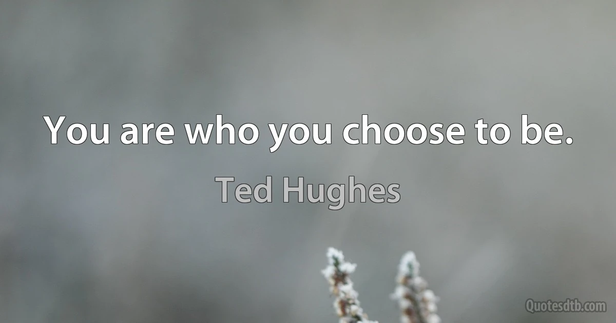 You are who you choose to be. (Ted Hughes)