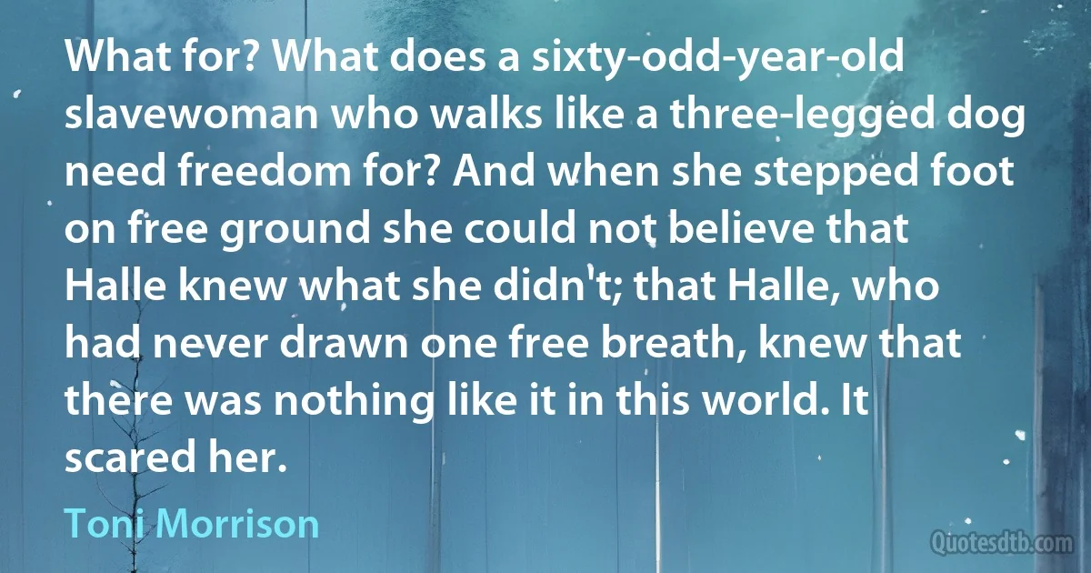 What for? What does a sixty-odd-year-old slavewoman who walks like a three-legged dog need freedom for? And when she stepped foot on free ground she could not believe that Halle knew what she didn't; that Halle, who had never drawn one free breath, knew that there was nothing like it in this world. It scared her. (Toni Morrison)