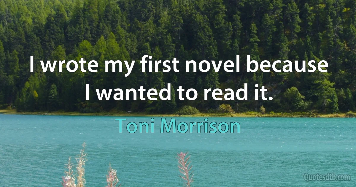 I wrote my first novel because I wanted to read it. (Toni Morrison)