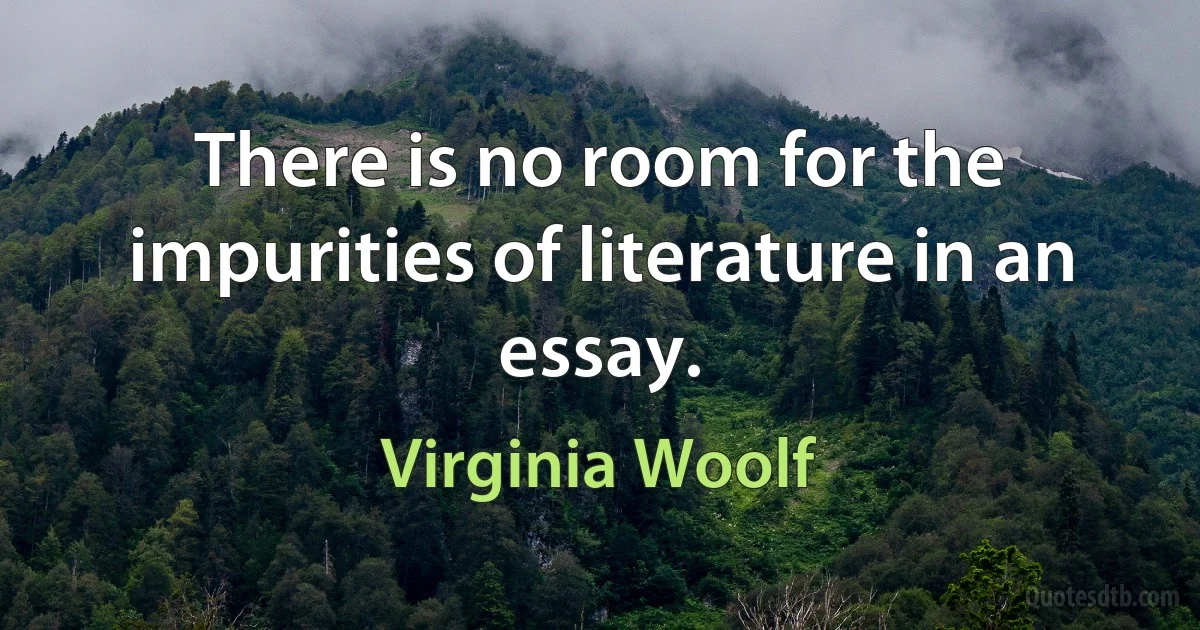 There is no room for the impurities of literature in an essay. (Virginia Woolf)