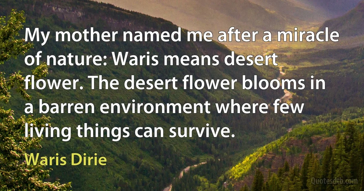 My mother named me after a miracle of nature: Waris means desert flower. The desert flower blooms in a barren environment where few living things can survive. (Waris Dirie)