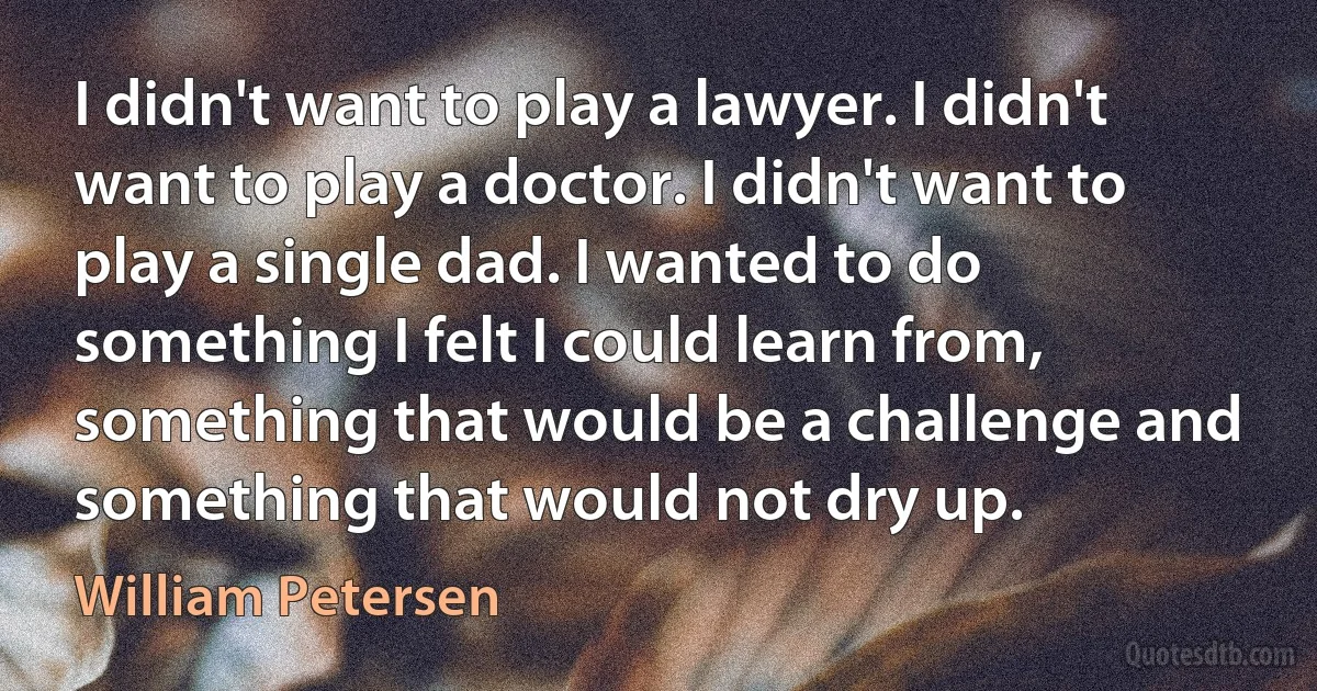 I didn't want to play a lawyer. I didn't want to play a doctor. I didn't want to play a single dad. I wanted to do something I felt I could learn from, something that would be a challenge and something that would not dry up. (William Petersen)