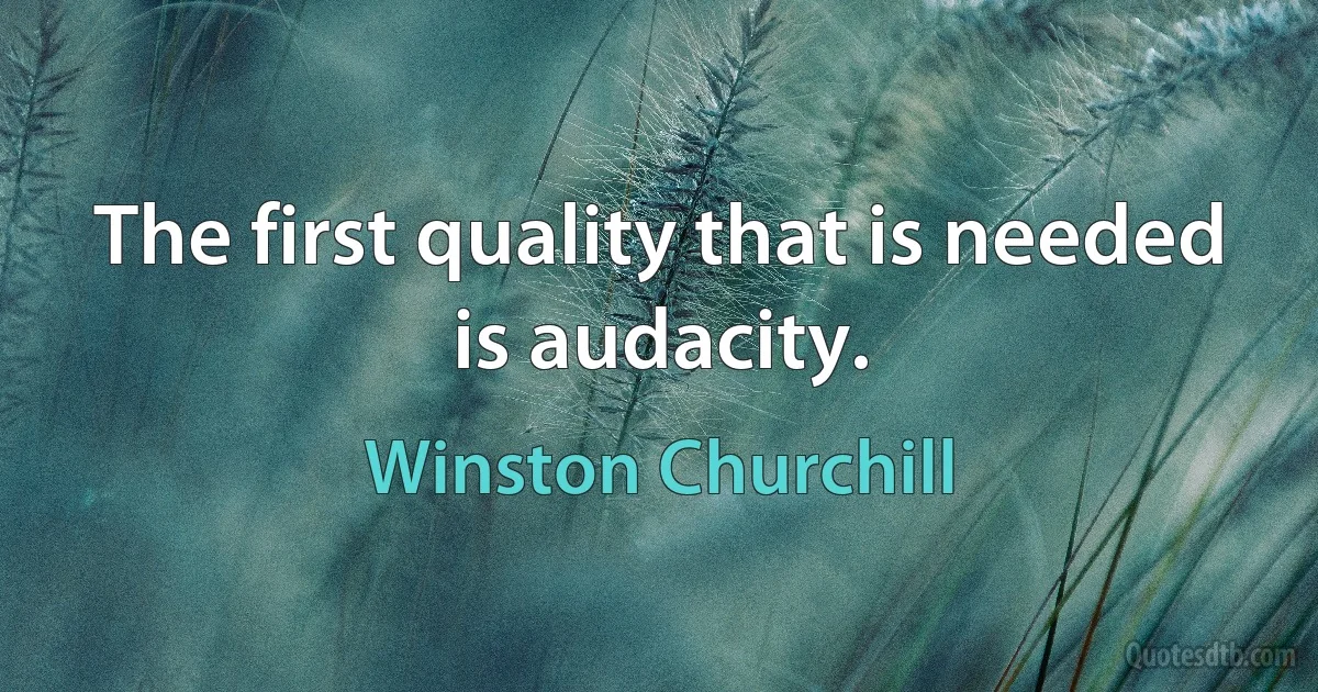 The first quality that is needed is audacity. (Winston Churchill)