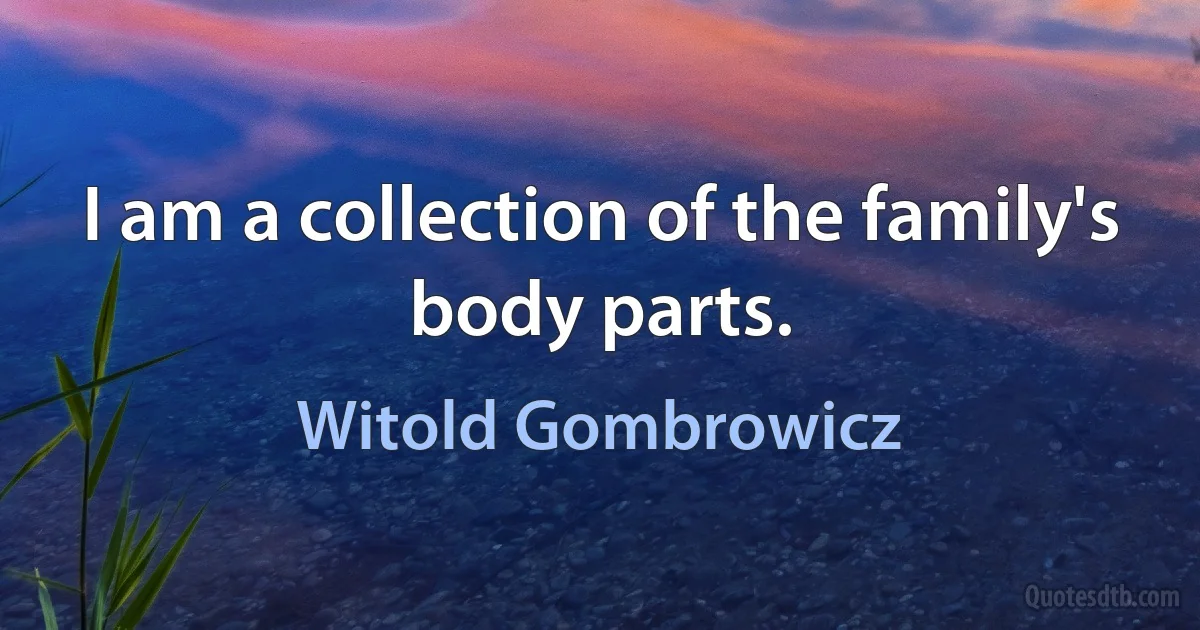 I am a collection of the family's body parts. (Witold Gombrowicz)