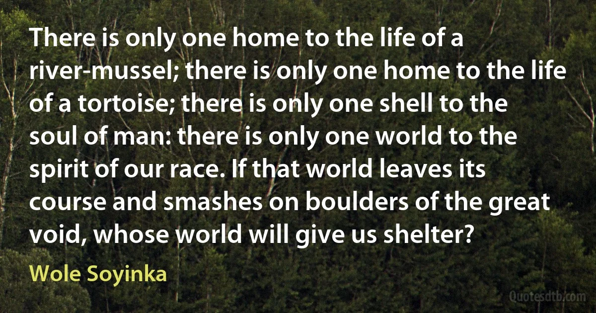 There is only one home to the life of a river-mussel; there is only one home to the life of a tortoise; there is only one shell to the soul of man: there is only one world to the spirit of our race. If that world leaves its course and smashes on boulders of the great void, whose world will give us shelter? (Wole Soyinka)