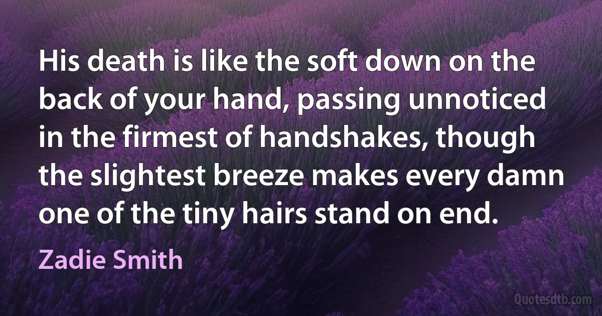 His death is like the soft down on the back of your hand, passing unnoticed in the firmest of handshakes, though the slightest breeze makes every damn one of the tiny hairs stand on end. (Zadie Smith)