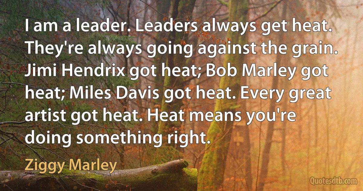 I am a leader. Leaders always get heat. They're always going against the grain. Jimi Hendrix got heat; Bob Marley got heat; Miles Davis got heat. Every great artist got heat. Heat means you're doing something right. (Ziggy Marley)