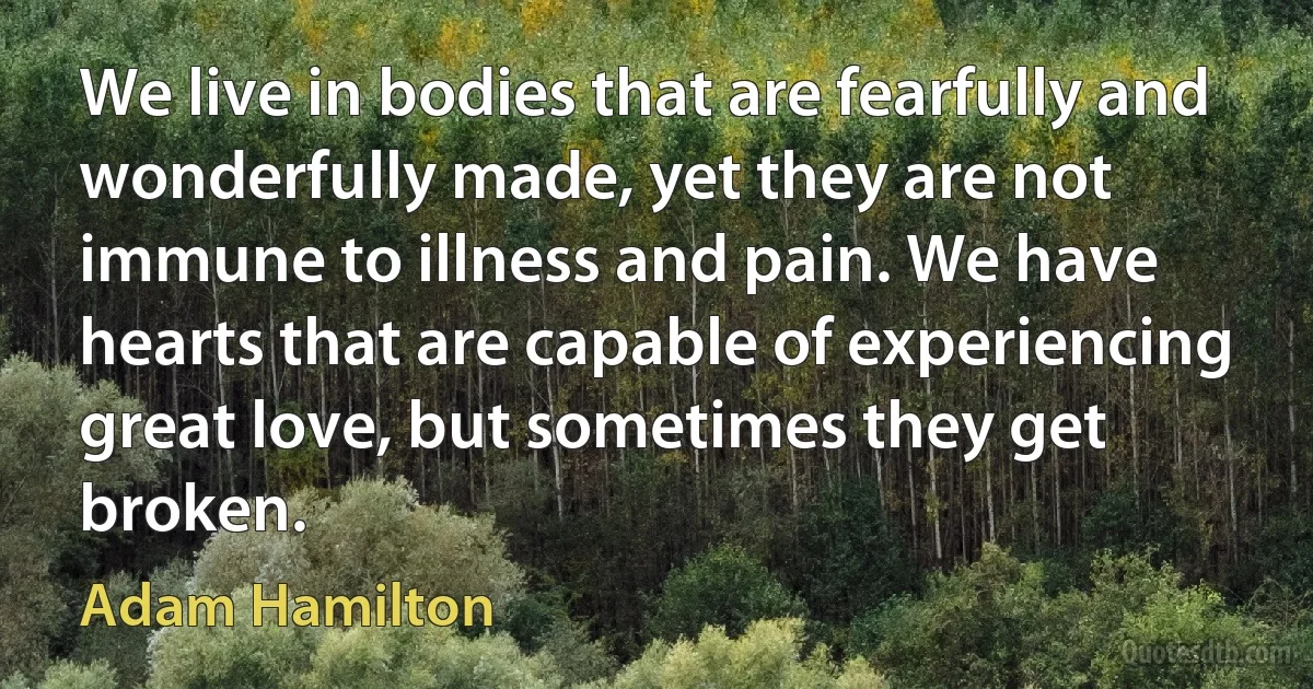 We live in bodies that are fearfully and wonderfully made, yet they are not immune to illness and pain. We have hearts that are capable of experiencing great love, but sometimes they get broken. (Adam Hamilton)