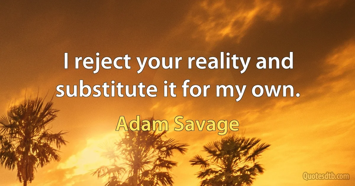 I reject your reality and substitute it for my own. (Adam Savage)