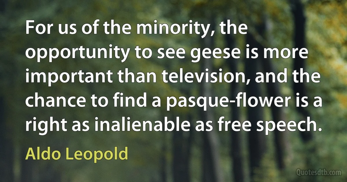 For us of the minority, the opportunity to see geese is more important than television, and the chance to find a pasque-flower is a right as inalienable as free speech. (Aldo Leopold)