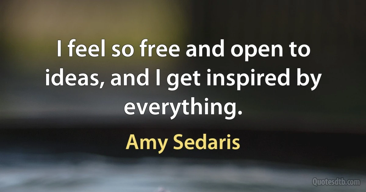 I feel so free and open to ideas, and I get inspired by everything. (Amy Sedaris)