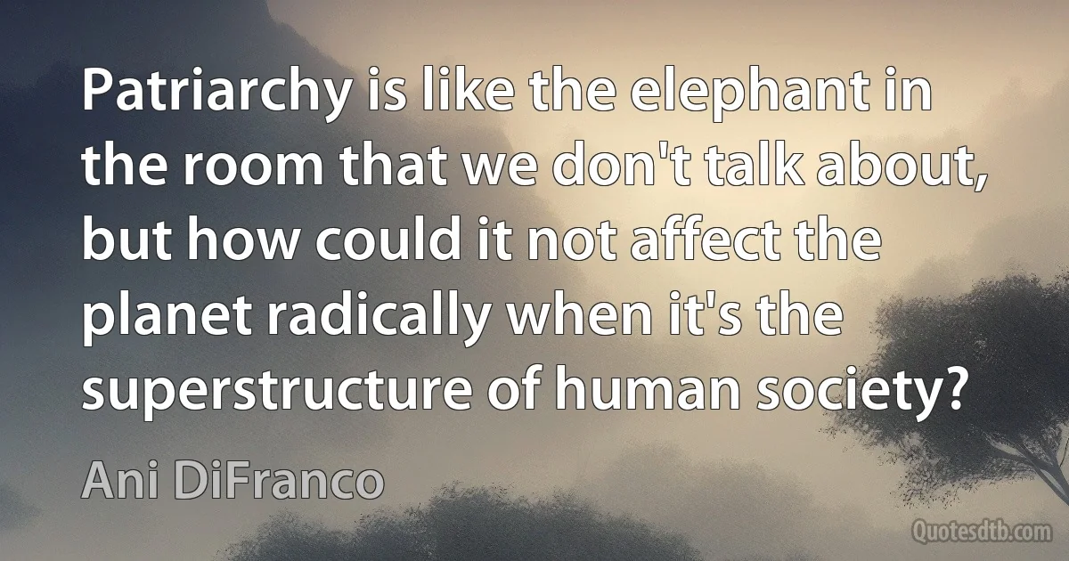 Patriarchy is like the elephant in the room that we don't talk about, but how could it not affect the planet radically when it's the superstructure of human society? (Ani DiFranco)