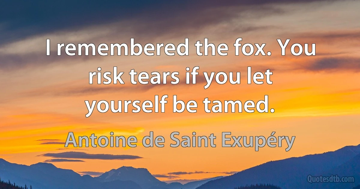 I remembered the fox. You risk tears if you let yourself be tamed. (Antoine de Saint Exupéry)