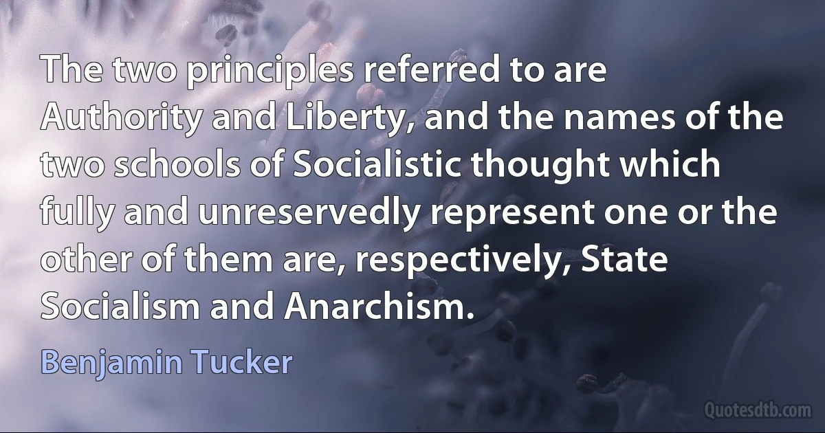 The two principles referred to are Authority and Liberty, and the names of the two schools of Socialistic thought which fully and unreservedly represent one or the other of them are, respectively, State Socialism and Anarchism. (Benjamin Tucker)